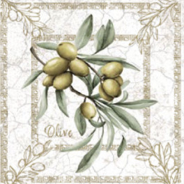 Celoročn&eacute; serv&iacute;tky 33x33cm 20ks SLOG 61601