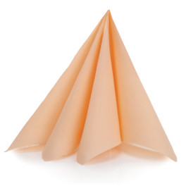 Re&scaron;tauračn&eacute; serv&iacute;tky TENDENCE &ndash; 38 x 38&nbsp;cm, lososov&eacute; (50&nbsp;ks)