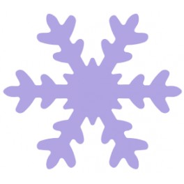 OZDOBN&Yacute; DIEROVAČ vločka 7,5cm Wiler