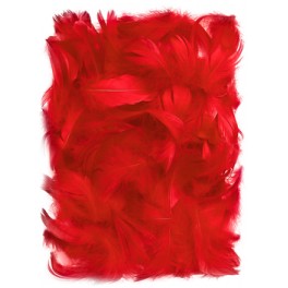 Pierka 5-12cm 5g
