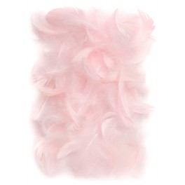 Pierka 5-12cm 5g