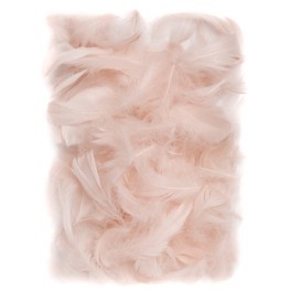 Pierka X 5-12cm 10g