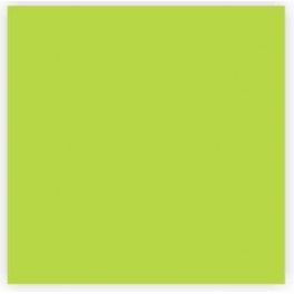Jednofarebn&eacute; serv&iacute;tky 20ks 33x33cm SLCO 2600
