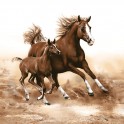 Celoročn&eacute; serv&iacute;tky 33x33cm 20ks SLOG 32801