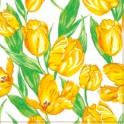 Jarn&eacute; serv&iacute;tky 20ks 33x33cm SDWI 7001