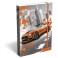 Box na zo&scaron;ity A5 Ford Shelby Dream 226x176x35mm